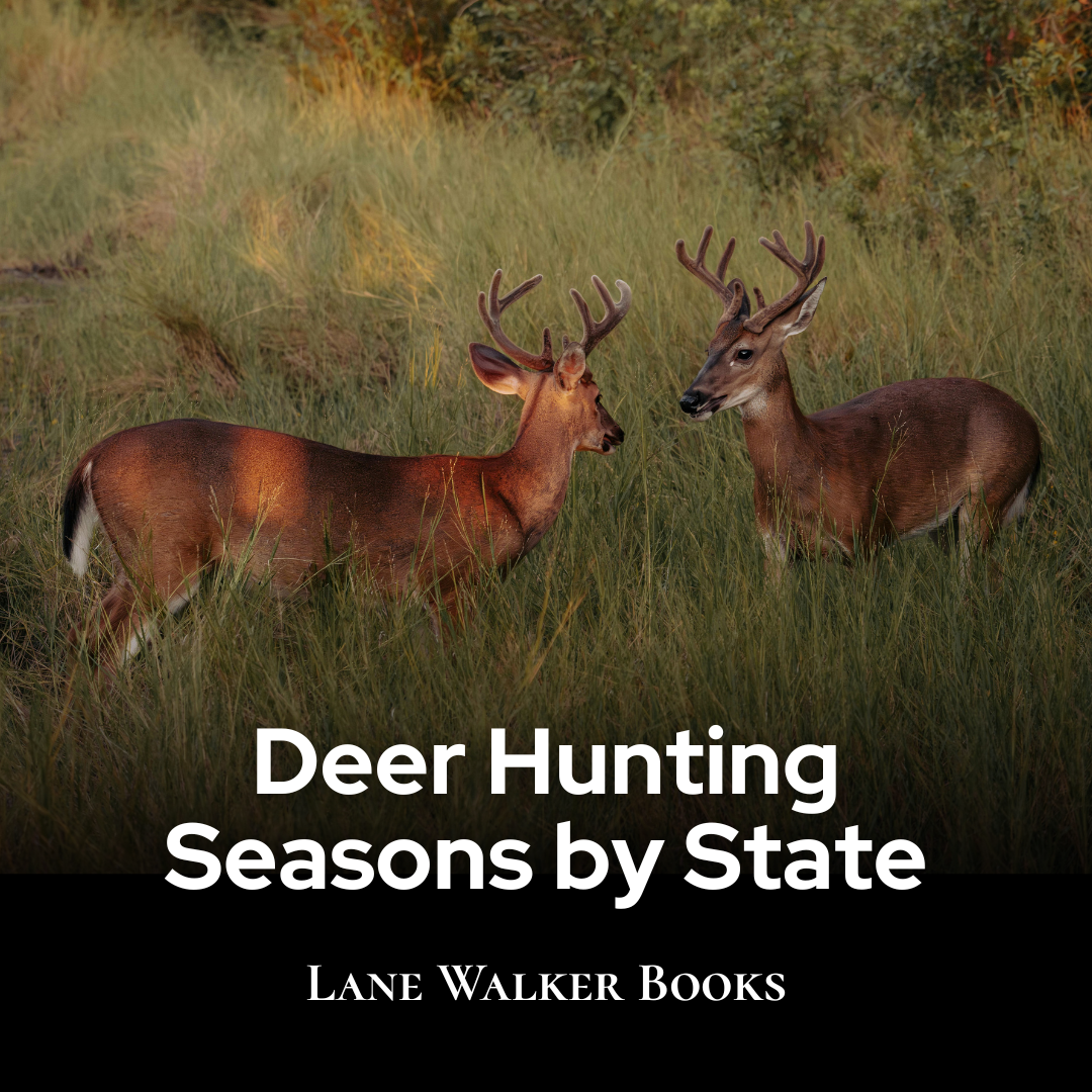 Deer Hunting Season by State (2026 Guide): Dates, Rules, Best Times & Resources